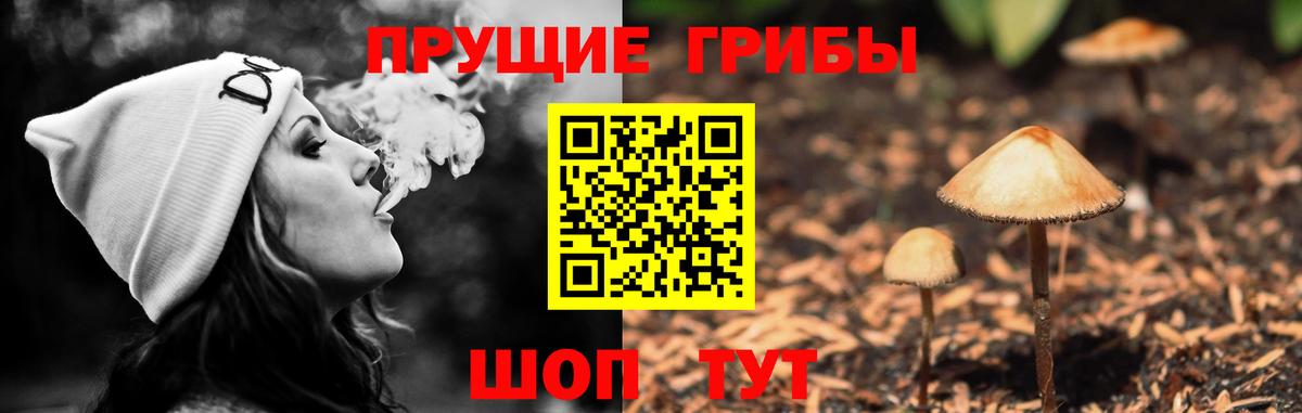 Галлюциногенные грибы Psilocybine cubensis Урюпинск